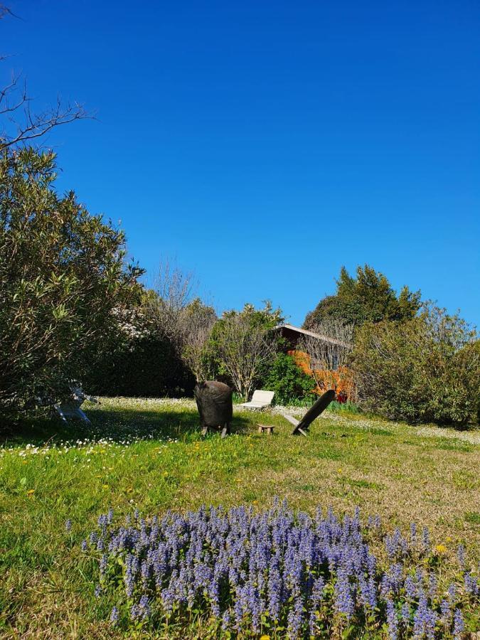 La Cabane Du Pesquier En Provence Caumont-sur-Durance Экстерьер фото